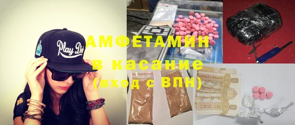 прущие грибы Вяземский