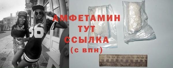 прущие грибы Вяземский