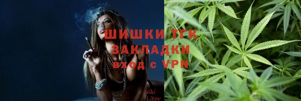 прущие грибы Вяземский