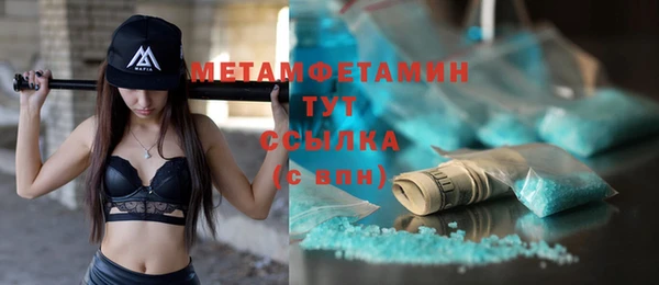 прущие грибы Вяземский