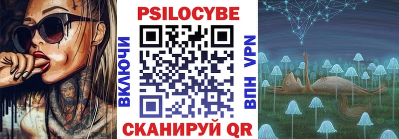 hydra как зайти  Черногорск  Псилоцибиновые грибы мицелий 